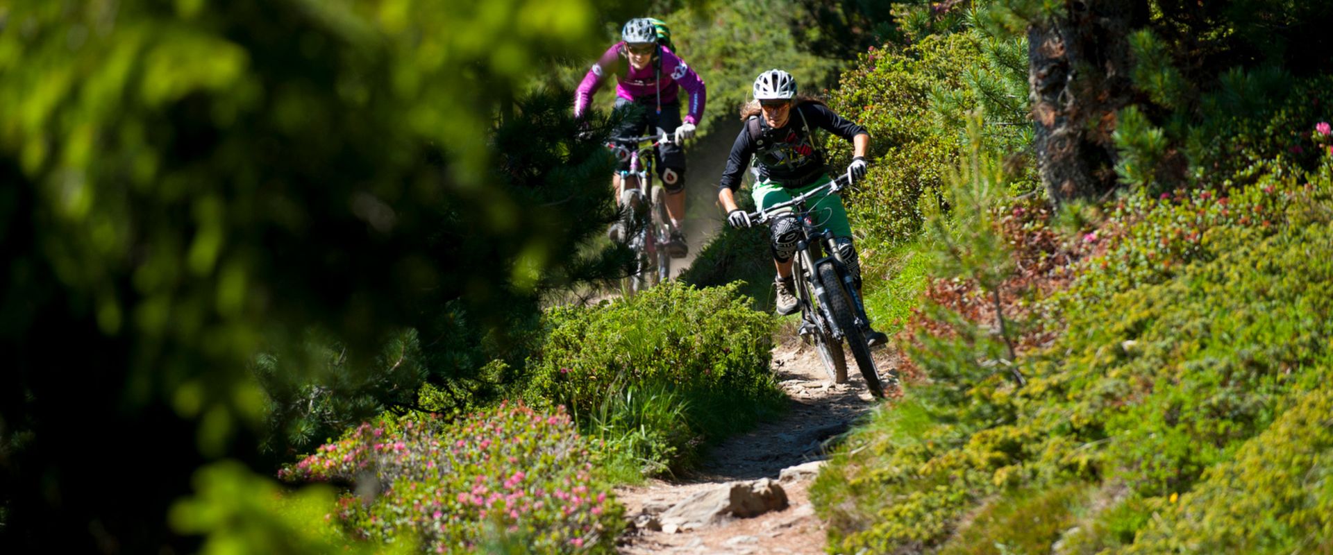 Flowcamp Brixen
