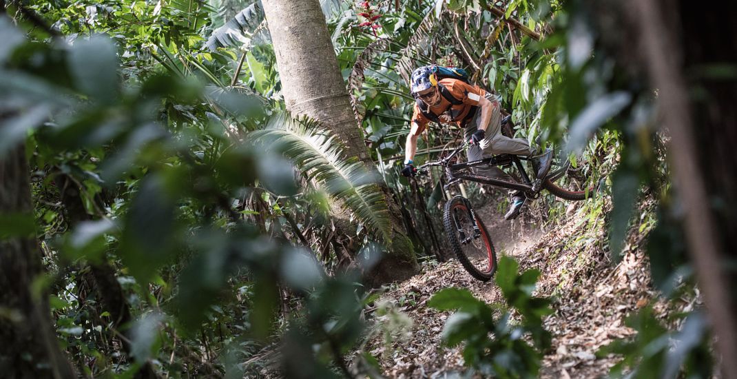 Tom Oehler Action