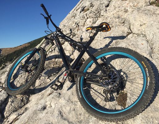 Johannes Pistrol Bike 301