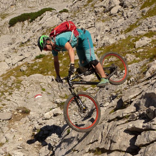 Johannes Pistrol Action
